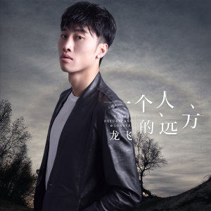 Listen to 一个人的远方 song with lyrics from 龙飞