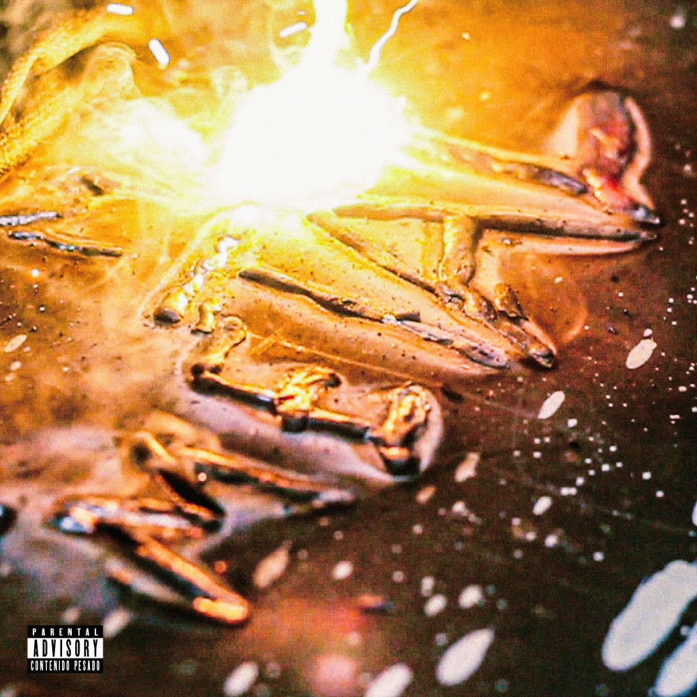 WÓLFRAM (Explicit)