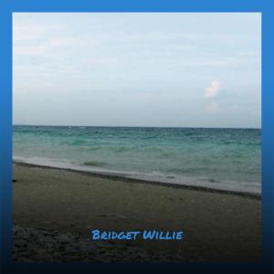 Various Artists的專輯Bridget Willie