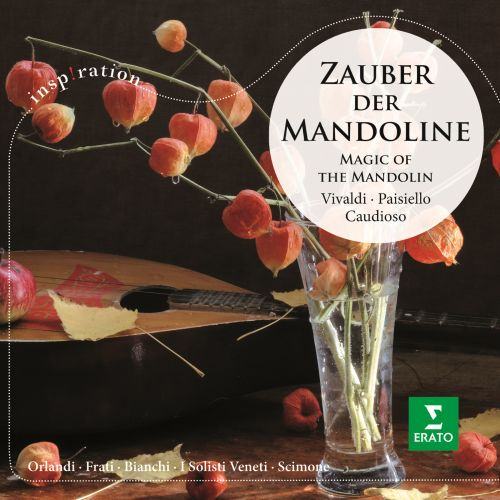 Mandolin Concerto in D Major, RV 93: III. Allegro