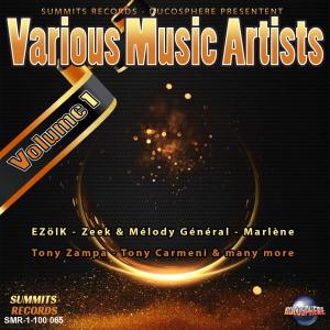 Listen to Crazy Love (Piano Luv Version) song with lyrics from C12