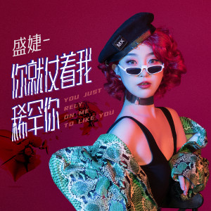 Album 你就仗着我稀罕你 from 盛婕