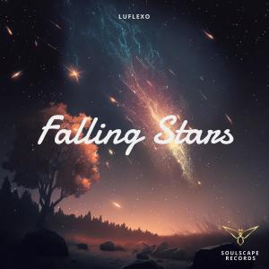 Album Falling Stars from LuFlexo