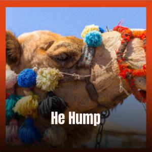 Various Artists的專輯He Hump