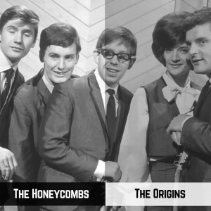 The Honeycombs的專輯The Origins