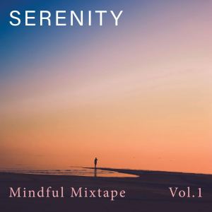 Various的专辑SERENITY (Mindful Mixtape) (Vol.1)
