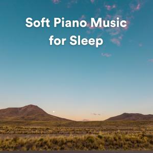 Album Soft Piano Music for Sleep oleh Study Music and Piano Music