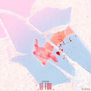 Album Le fou (Explicit) from Janim