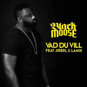 ดาวน์โหลดและฟังเพลง Vad du vill (feat. Jireel & Lamix) พร้อมเนื้อเพลงจาก Black Moose