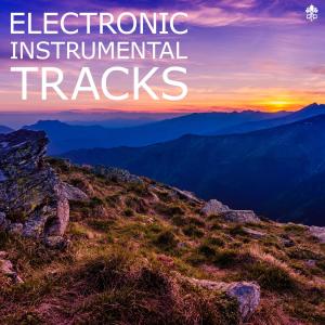 Various Artists的专辑Electronic Instrumental Tracks