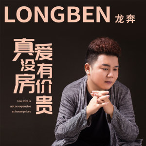 收聽龍奔的真愛沒有房價貴 (DJ版)歌詞歌曲