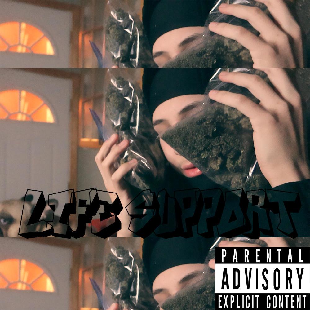 Life Support (Explicit)
