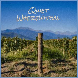 Album Quiet Wherewithal from Saira Naga