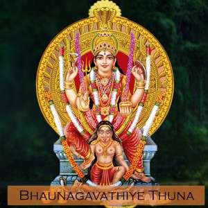 收听Ravisanker的Peelividarthi歌词歌曲