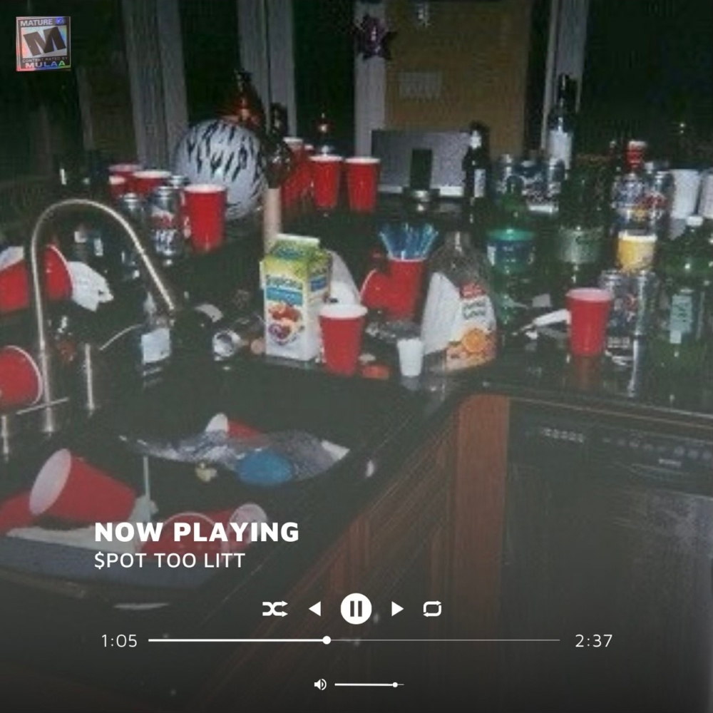 $pot Too Litt (feat. C Stackz) (Explicit)