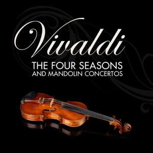 Württemberg Chamber Orchestra Heilbronn的專輯Vivaldi: The Four Seasons and Mandolin Concertos