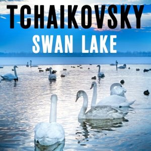ดาวน์โหลดและฟังเพลง Swan Lake, Op. 20: No. 5, The Black Swan Pas de Deux: IV. Variation 2 พร้อมเนื้อเพลงจาก Victor Fedotov and The Mariinsky Theatre Symphony Orchestra