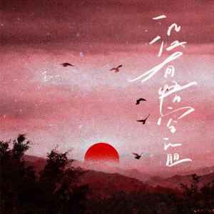 Album 没有悟空的胆 from 王一一