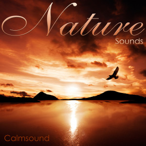 อัลบัม Nature Sounds ศิลปิน Calmsound