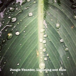 ดาวน์โหลดและฟังเพลง Jungle Thunder, Lightning and Heavy Rain พร้อมเนื้อเพลงจาก Lightning Storms