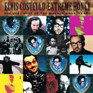 收聽Elvis Costello的All This Useless Beauty歌詞歌曲