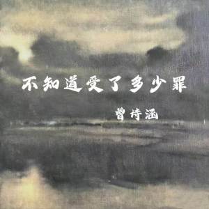 Listen to 不知道受了多少罪 song with lyrics from 曾诗涵