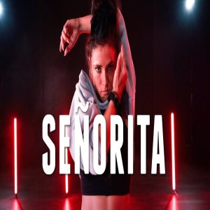 Dengarkan Señorita lagu dari Dj Tabata dengan lirik