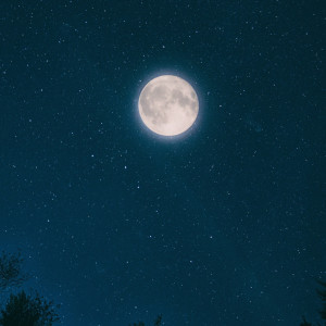 收听Vano Ekaladze的Moonlight Reflection歌词歌曲