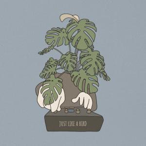 收聽Sølace的just like a bird歌詞歌曲