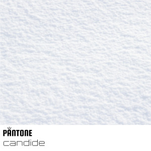 收聽Pantone的Candide歌詞歌曲