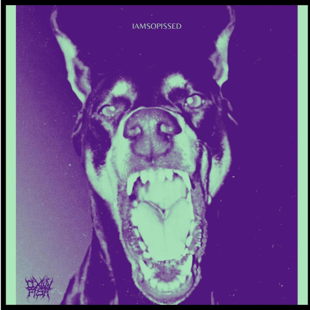 IAMSOPISSED (Explicit)