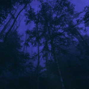 Listen to outside song with lyrics from Pr1nce666
