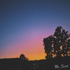 Listen to Mr. Secret song with lyrics from HARUKAZE