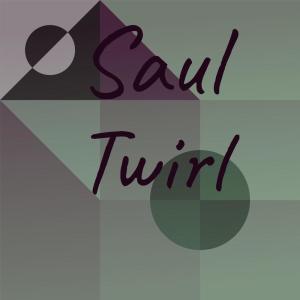 Various Artists的專輯Saul Twirl