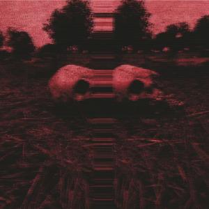 收聽Prodigal的Feed歌詞歌曲