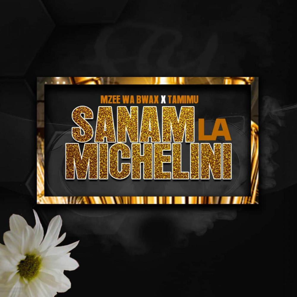 Sanamu La Michelini