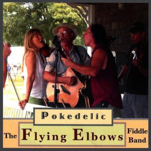 ดาวน์โหลดและฟังเพลง Row & Rock Me Darling พร้อมเนื้อเพลงจาก The Flying Elbows