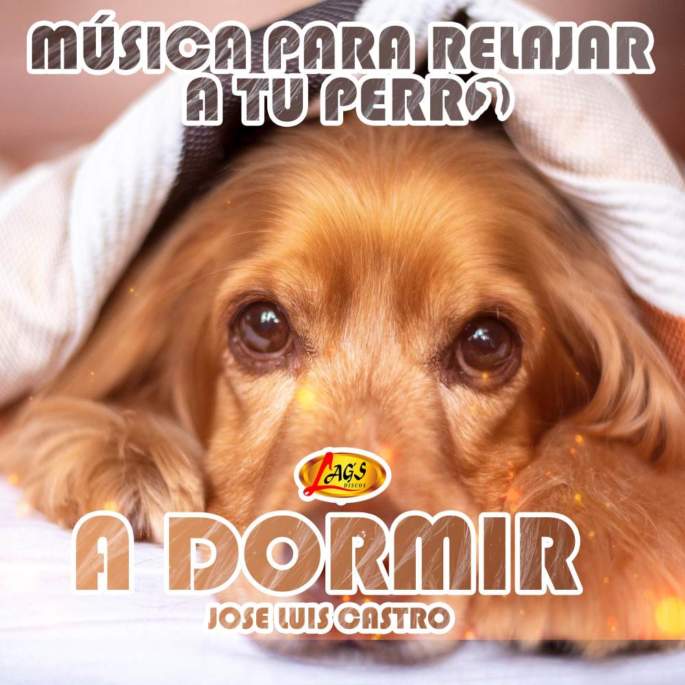 A Dormir (Música Para Relajar a Tu Perro)