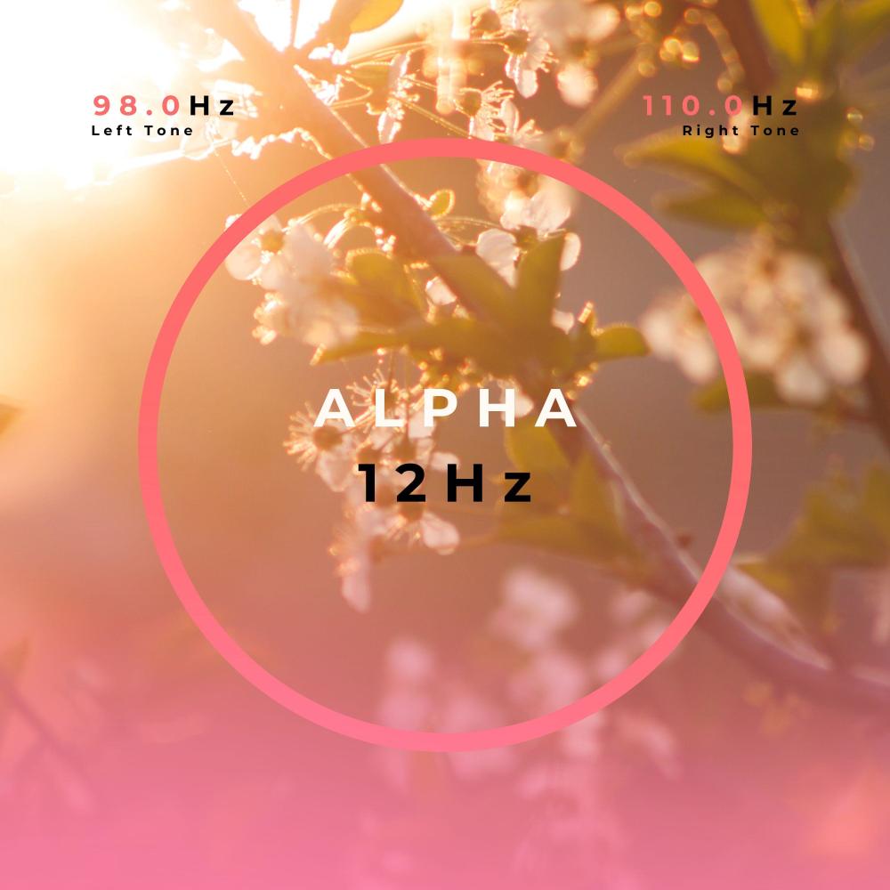 Alpha Waves For Positivity And Relaxation With 12Hz Binaural Beats Meditation Music