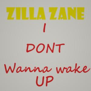 Listen to I Don't Wanna Wake Up (Explicit) song with lyrics from Zilla Zane