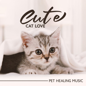 Cats Music Zone的专辑Cute Cat Love (Pet Healing Music)