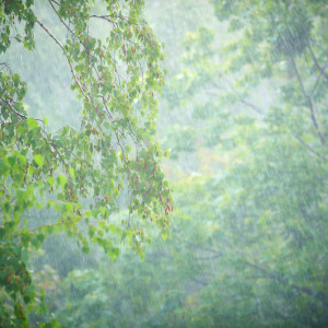Shower Serenity: Meditative Rain Symphony's Peace