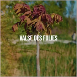 Various Artists的專輯Valse Des Folies