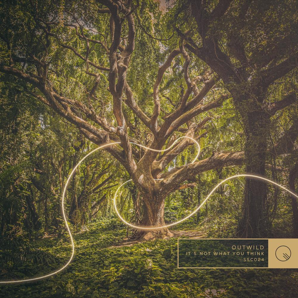Reaching Out