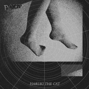Listen to Haruki The Cat song with lyrics from 폴립