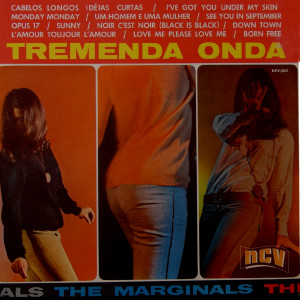 ดาวน์โหลดและฟังเพลง Born Free พร้อมเนื้อเพลงจาก The Marginals