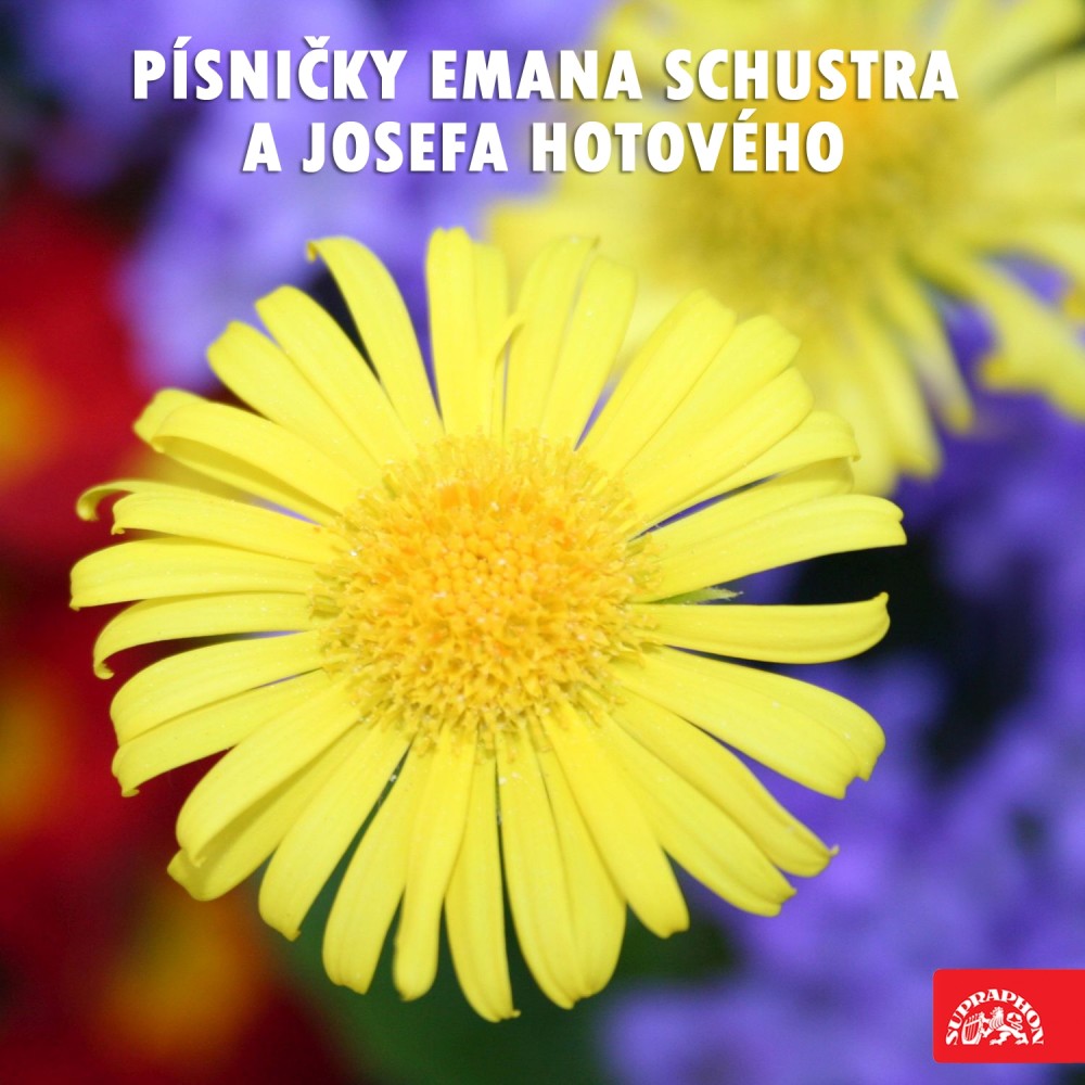 Písničky Josefa Hotového