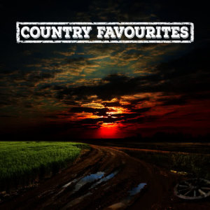 ดาวน์โหลดและฟังเพลง Chicks Dig It พร้อมเนื้อเพลงจาก Country And Western