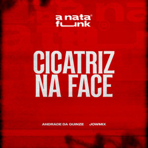 JowMix的專輯Cicatriz Na Face
