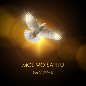 ดาวน์โหลดและฟังเพลง Mokonzi พร้อมเนื้อเพลงจาก David Shimbi